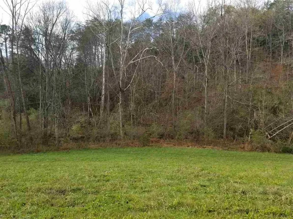 7466 Armory Rd, Newport, TN 37821