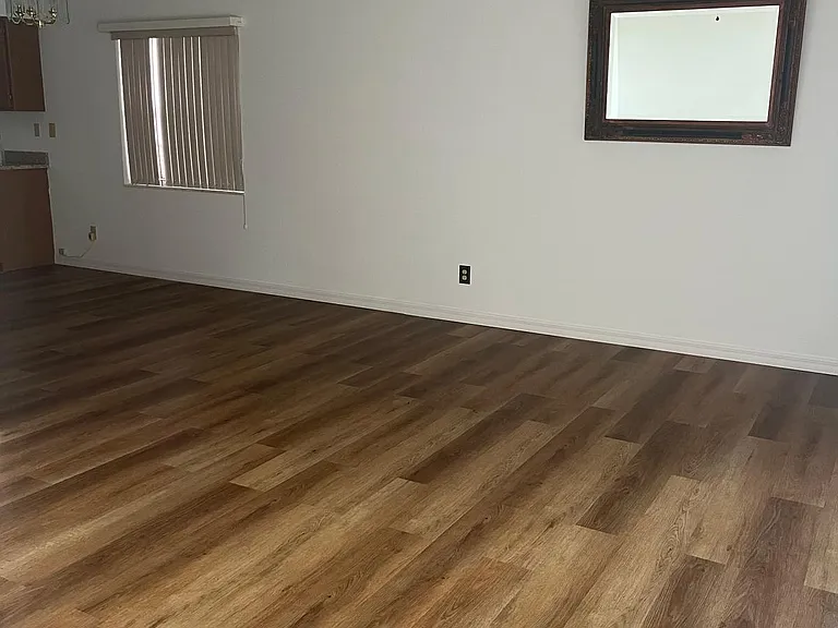 1435 Disston Ave #1435 — Photo 6