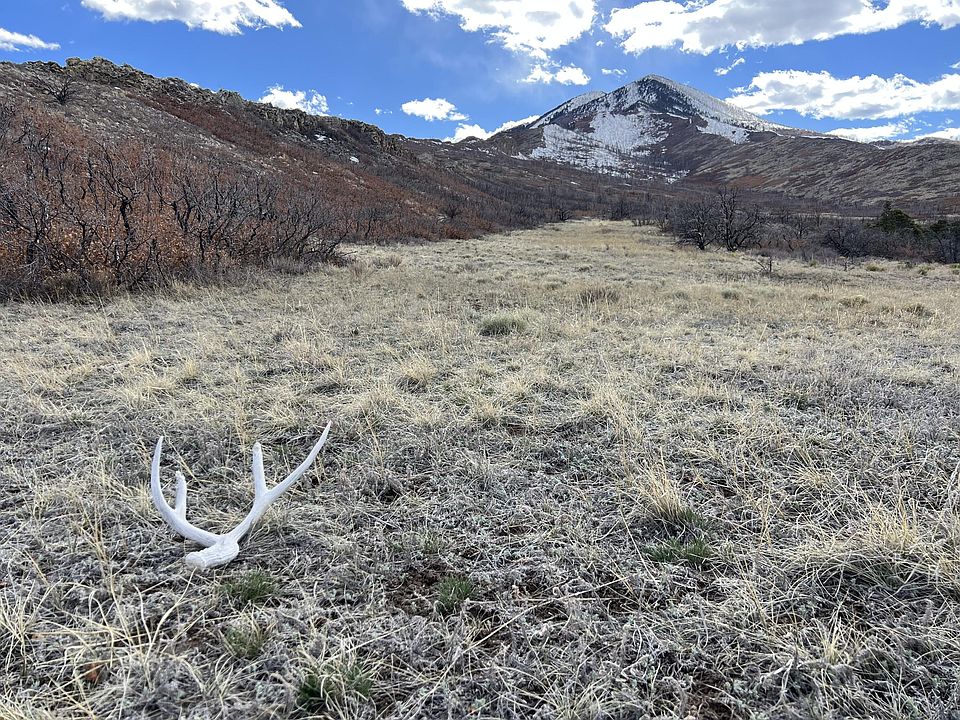 1st image of Big Horn Dr