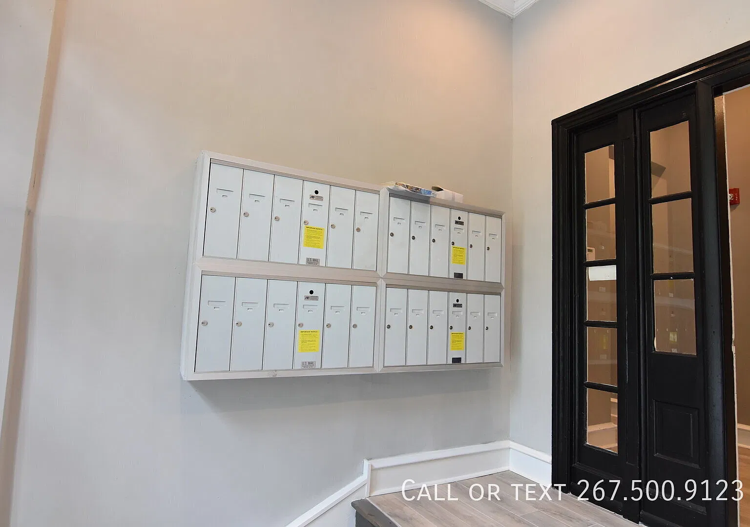 Amazing Junior One Bedroom Apt. First month free! Water included! — Photo 3