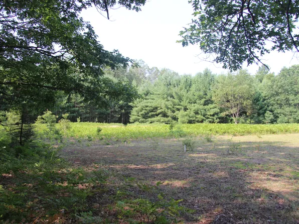 7241 N Oak Ave, White Cloud, MI 49349