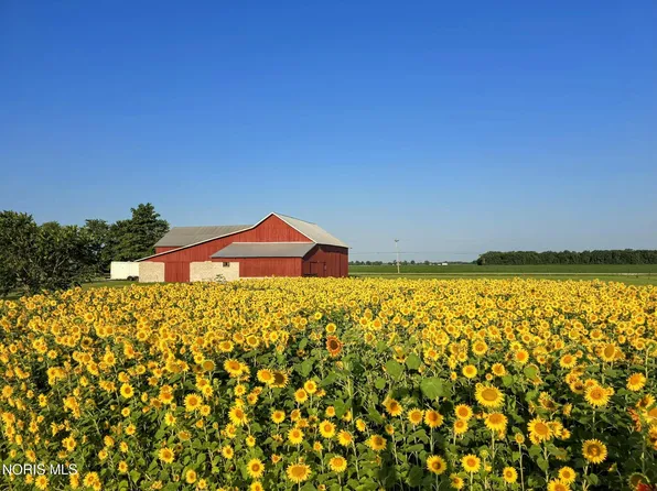 3431 N Elliston Trowbridge Rd, Graytown, OH 43432