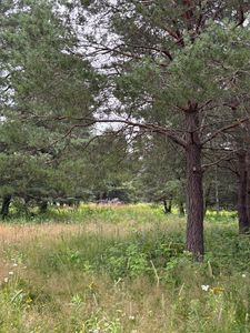 LOT 10 Strong Rd, Phelps, WI, 54554