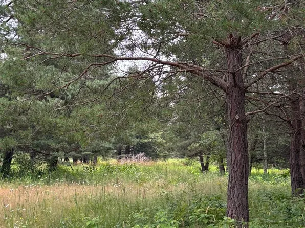 LOT 10 Strong Rd, Phelps, WI 54554