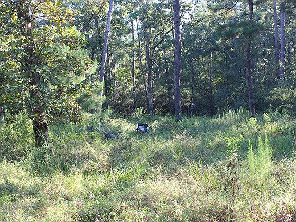 5th image of 4931 County Road 302