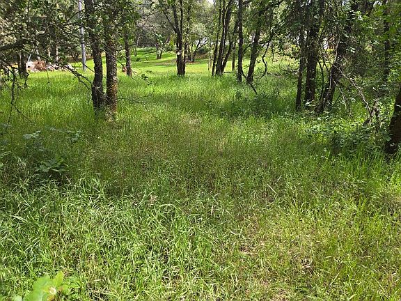 3rd image of 12729 Wolf Rd
