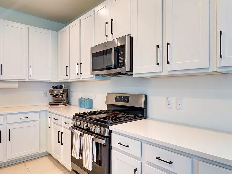 3338 Great Banyan Way — Photo 20