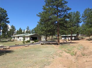 2197 County Road 46, Florissant, CO 80816