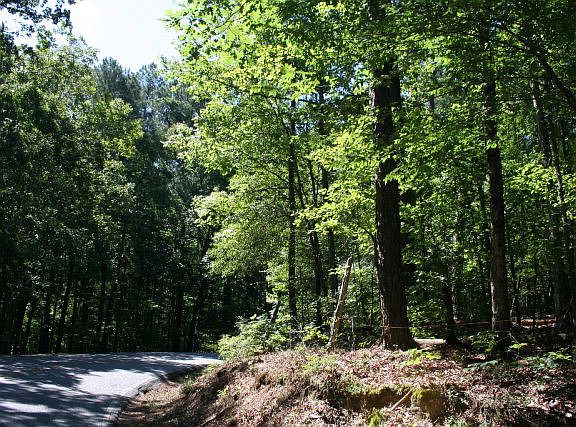 4th image of Lot B-8 Elijah Clark Drive