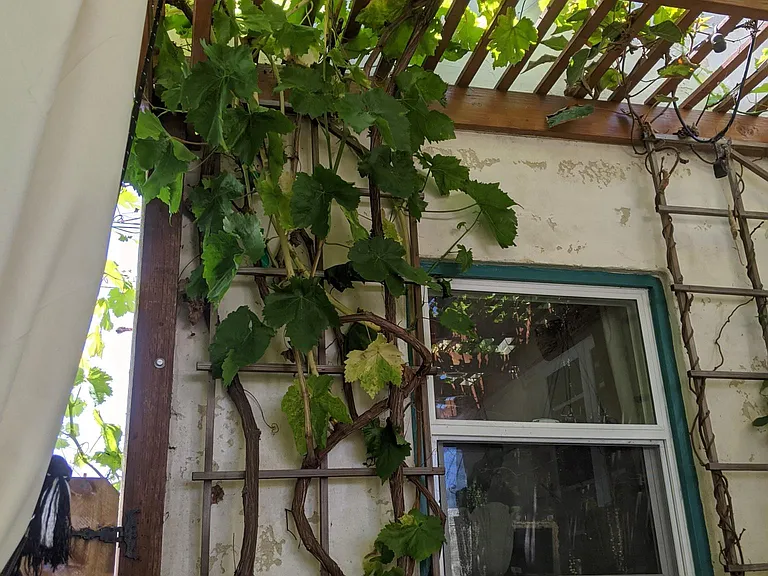 3827 Madison Ave — Photo 18