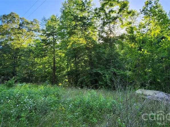 0 Buffalo Creek Rd #74, Lake Lure, NC 28746