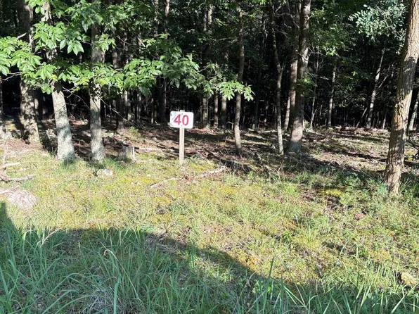 40 Berenger Dr, Petersburg, WV 26847