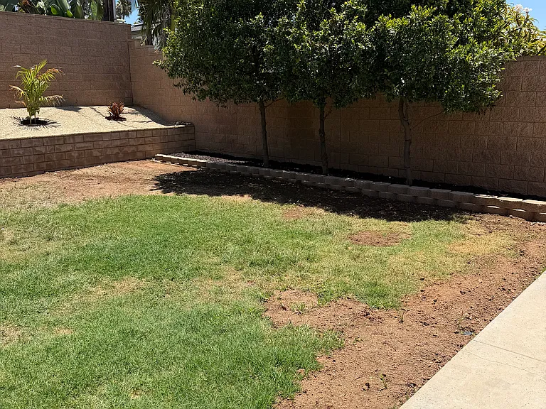 Backyard This will be seeded for new grass