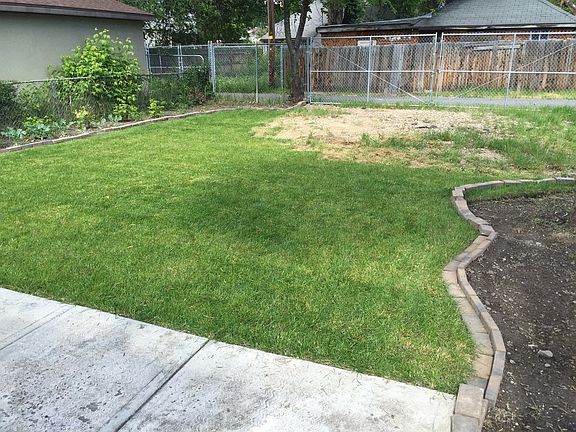 Back yard & gardening