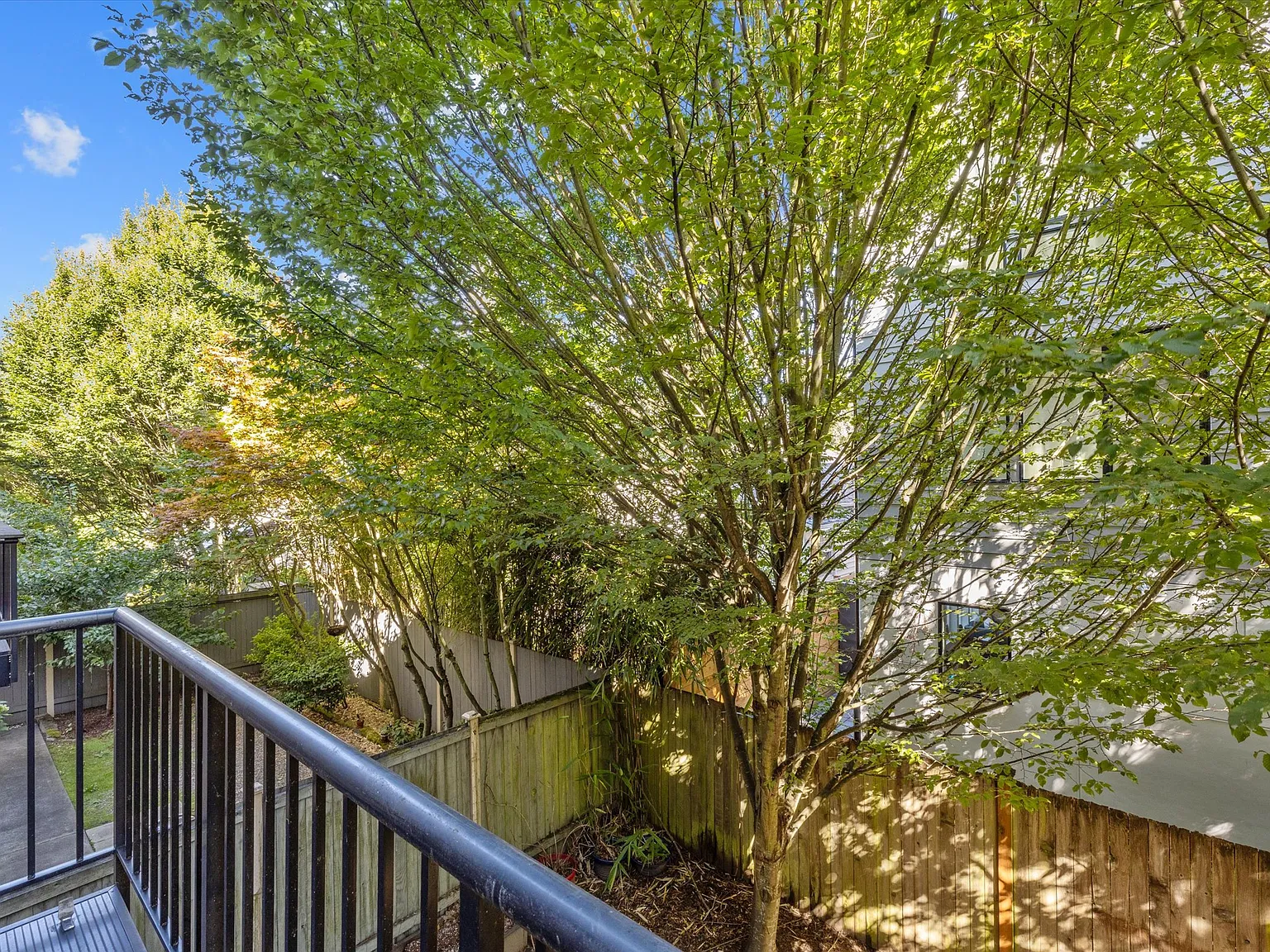 3 bed, 3.5 bath, 1760 sqft, $4,395 — Photo 3