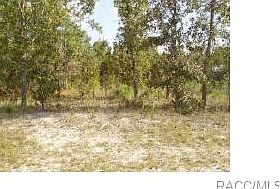 1st image of 4539 N Elkcam Blvd