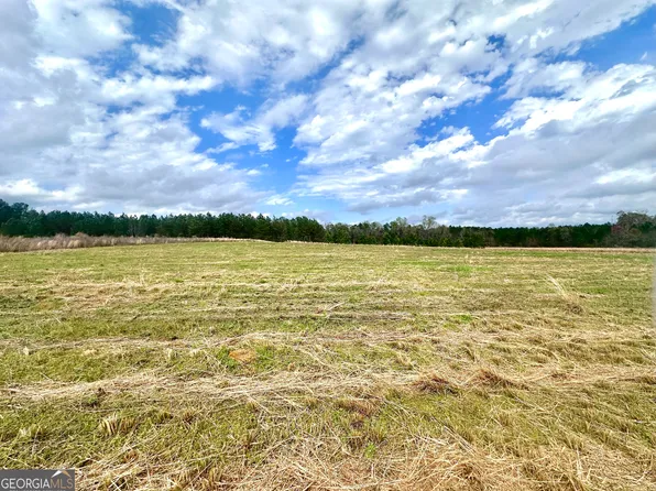 3167 Jason Franklin Rd, Register, GA 30452