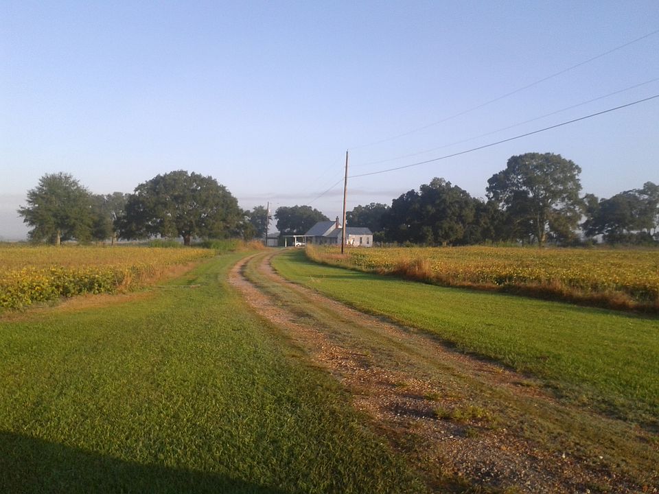 House from the road