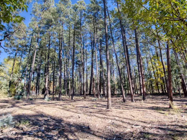 040D Vallery Ln, Lakeside, AZ 85929