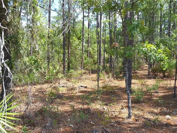 4470 W Pansy Ln, Beverly Hills, FL 34465