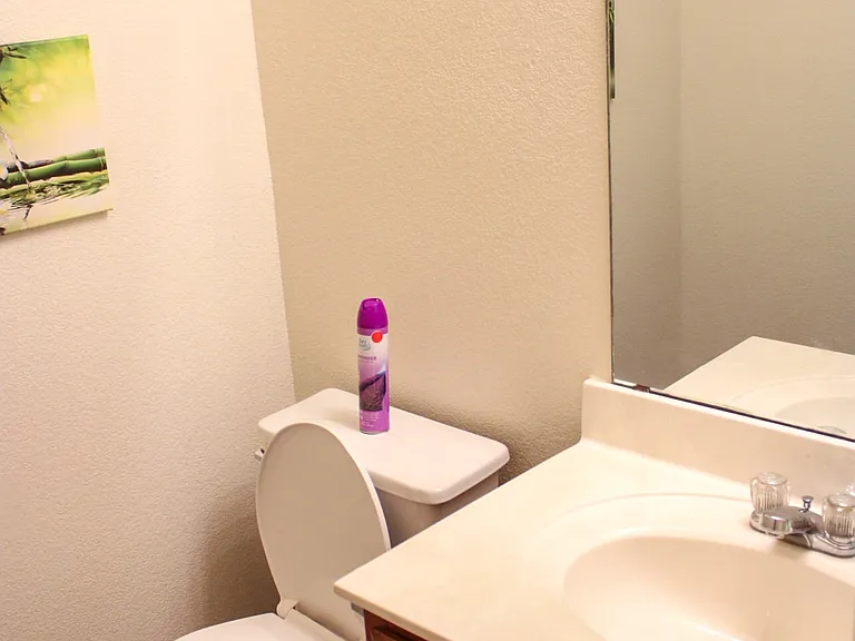 Guest bathroom