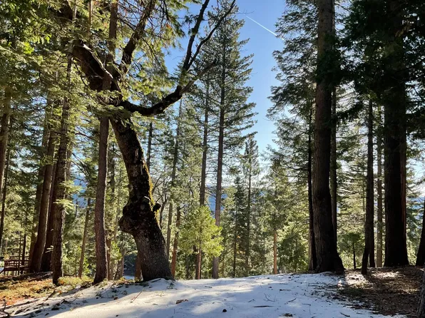 5186 Meko Dr, Camp Connell, CA 95223