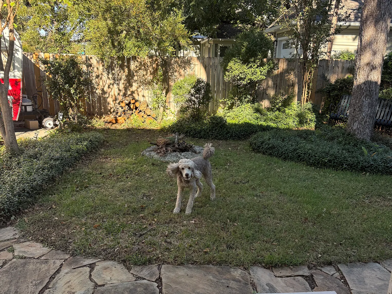 3 bed, 2000 sqft, $3,500 — Photo 4