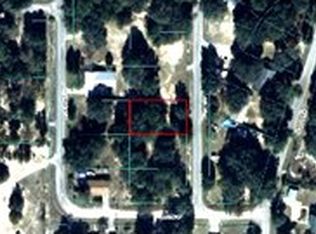 1968 SE 161st Ter, Ocklawaha, FL 32179