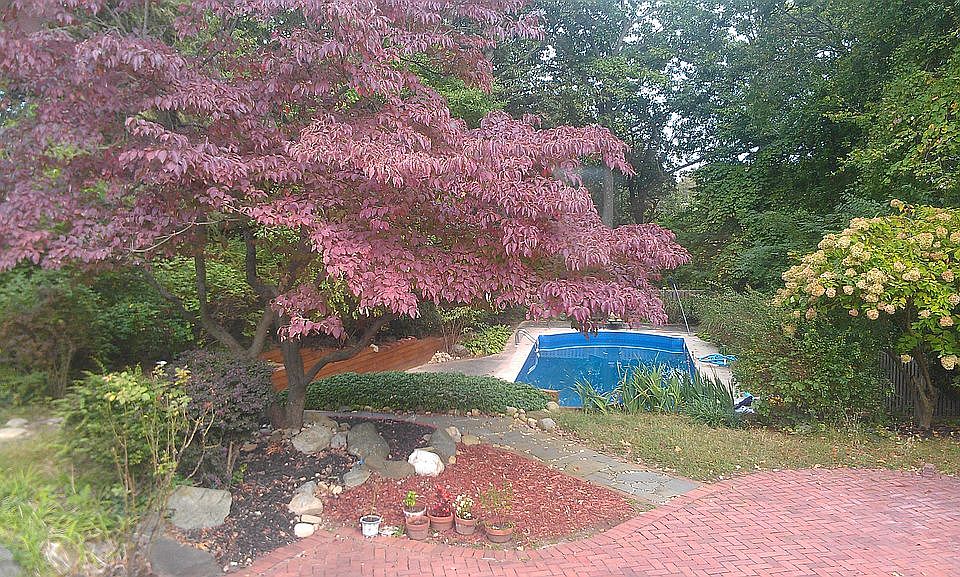 Seclusive Backyard