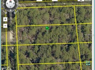 18044 Nighthawk Rd, Weeki Wachee, FL 34614