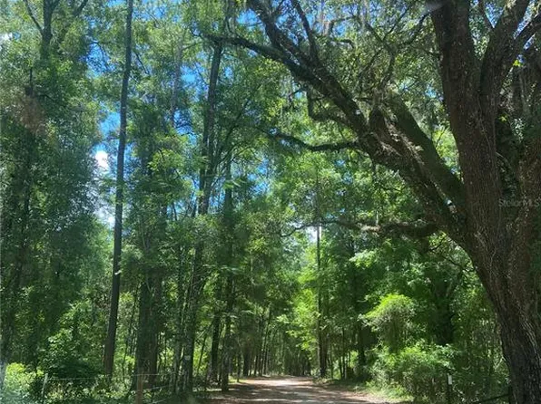 NE 166th Ave Lot 6, Williston, FL 32696