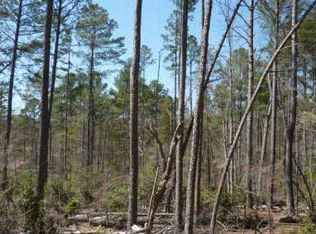 886 Matrix Ln, Ellijay, GA 30540