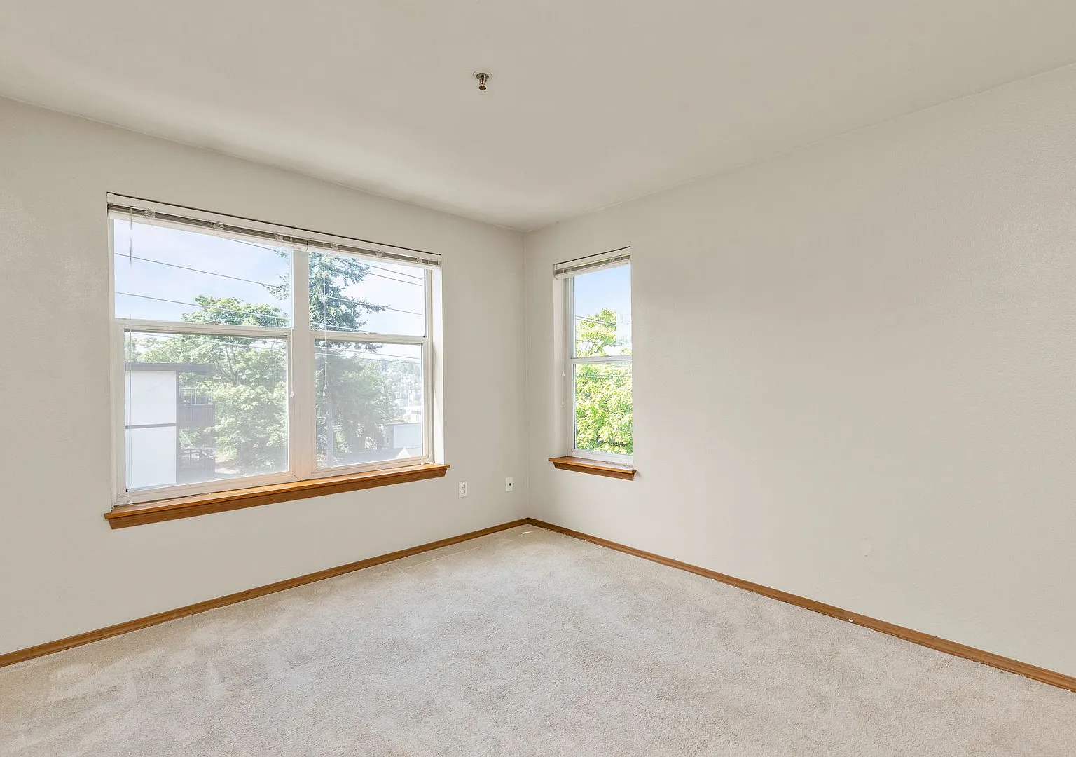 Quaint 2 bdrm/ 1 bth condo in Seattle — Photo 3