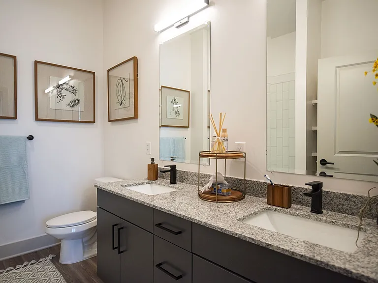Solis Gainesville — Photo 16