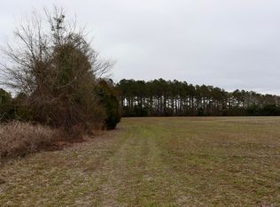 0 Cool Springs Rd, Pinewood, SC 29125