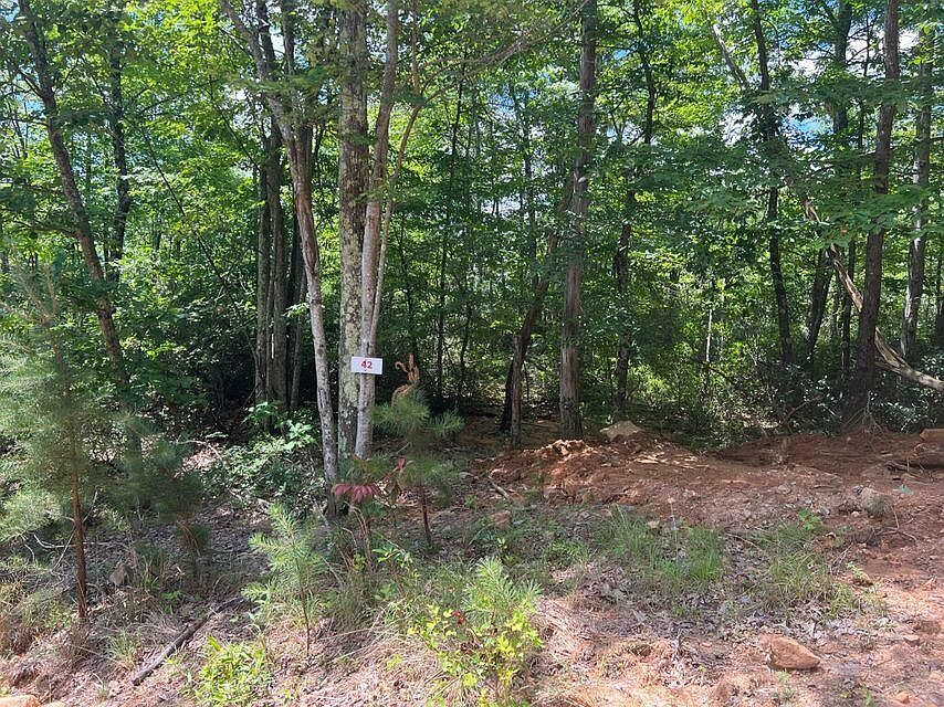 1st image of 42 Waiteville Rd
