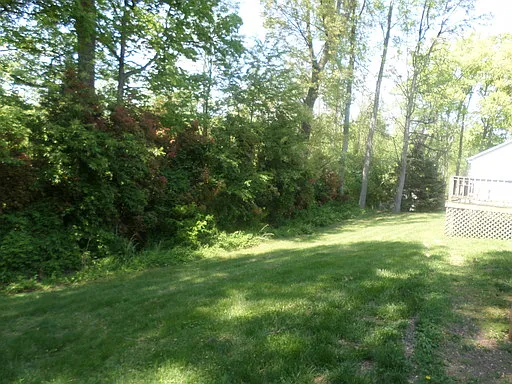 11708 Harvestdale Dr — Photo 19