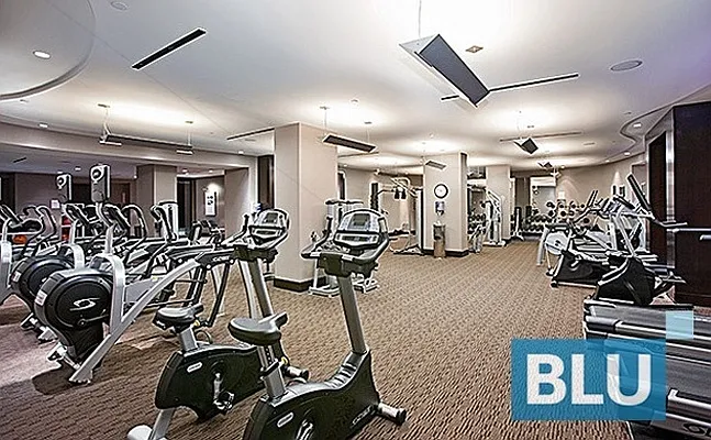 Rented by BLU Real Estate | media 27