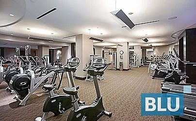 Rented by BLU Real Estate