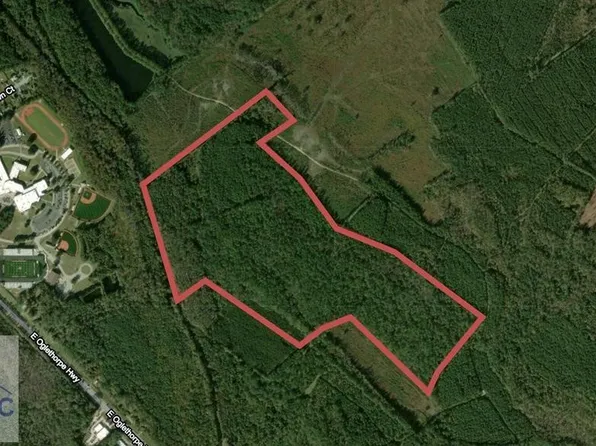 0 McIntosh Lake Road, Hinesville, GA 31313