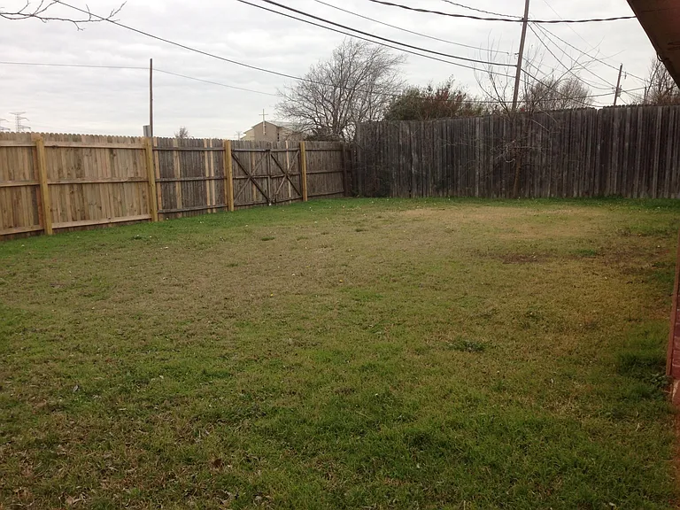 large backyard