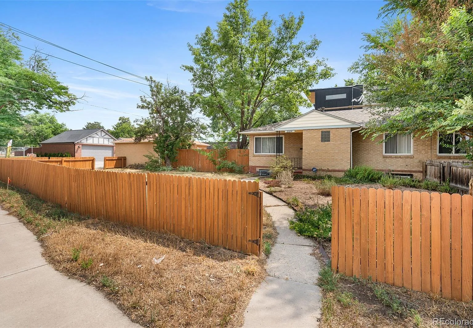 2 bed, 1.0 bath, 875 sqft, $2,000 — Photo 3