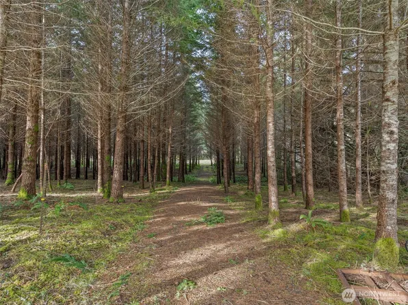 47 Markley Street, Raymond, WA 98577