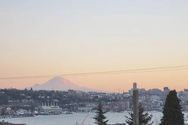 View from the rooftop