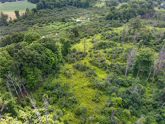 2nd image of 0 Ellis Hollow Rd