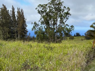 Palikekua St LOT 15, Honokaa, HI, 96727