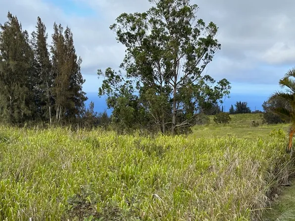 Palikekua St Lot 15, Honokaa, HI 96727