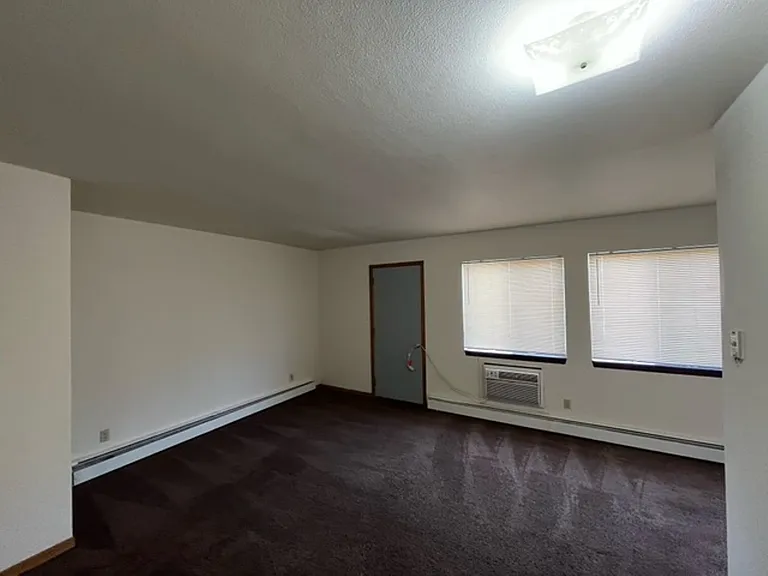 601 S Randall Ave — Photo 3