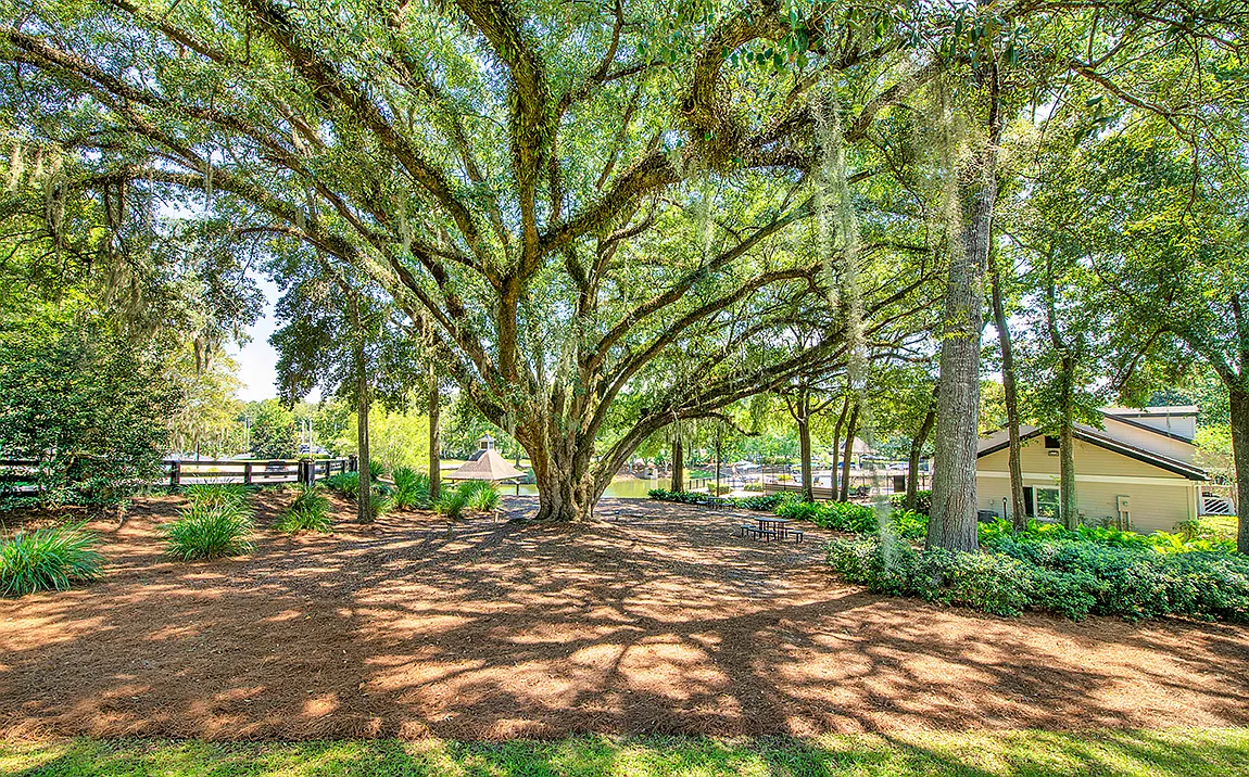 MAA Oak Grove — Photo 3