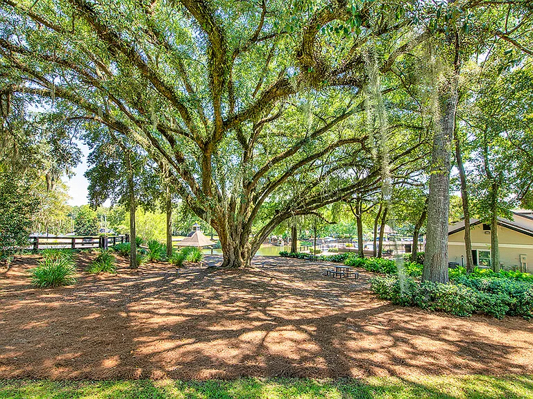 MAA Oak Grove — Photo 3